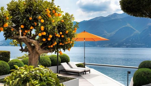 Ombrelloni palo centrale  - banner